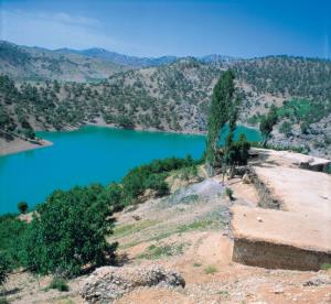  دریاچه درياچه مور زرد زيلايى 