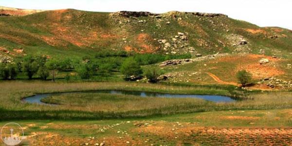  چمن متحرک چملی 