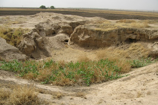  تپه باستانی علی کش  ,گردشگری ایران
