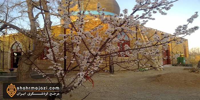  روستای سعید آباد 